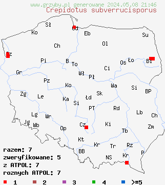 znaleziska Crepidotus subverrucisporus (ciżmówka szorstkozarodnikowa) na terenie Polski