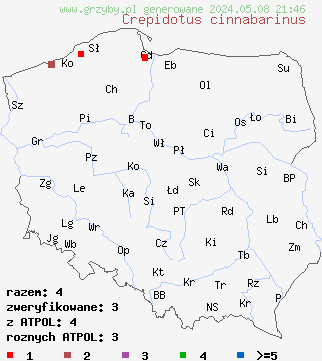 znaleziska Crepidotus cinnabarinus (ciżmówka szkarłatna) na terenie Polski