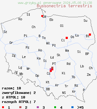 znaleziska Byssonectria terrestris (oranżówka naziemna) na terenie Polski