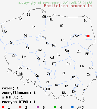 znaleziska Pholiotina nemoralis (stożkówka gajowa) na terenie Polski