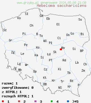 znaleziska Hebeloma sacchariolens (włośnianka słodkowonna) na terenie Polski