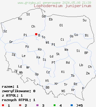znaleziska Lophodermium juniperinum (osutka jałowcowa) na terenie Polski