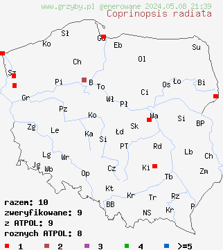 znaleziska Coprinopsis radiata (czernidłak koński) na terenie Polski