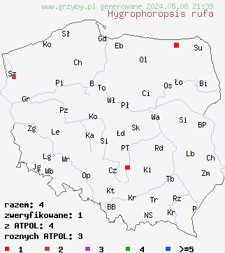 znaleziska Hygrophoropsis rufa (lisówka ruda) na terenie Polski