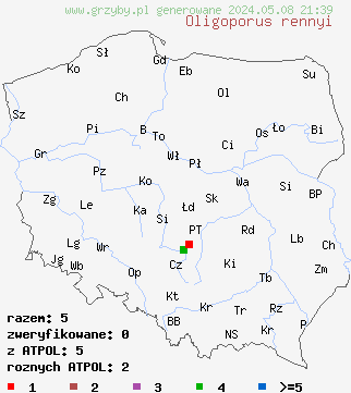 znaleziska Oligoporus rennyi (drobnoporek niszczący) na terenie Polski