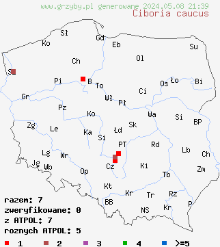 znaleziska Ciboria caucus (kubianka wierzbowa) na terenie Polski