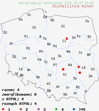 znaleziska Scutellinia minor na terenie Polski