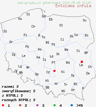 znaleziska Entoloma infula (dzwonkówka infułowata) na terenie Polski