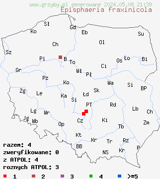 znaleziska Episphaeria fraxinicola na terenie Polski