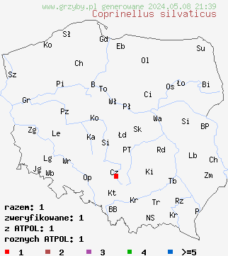 znaleziska Coprinellus silvaticus (czernidłak szorstkozarodnikowy) na terenie Polski