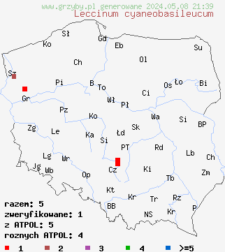 znaleziska Leccinum cyaneobasileucum (koźlarz niebieskostopy) na terenie Polski