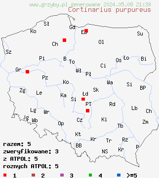 znaleziska Cortinarius purpureus (zasłonak miedzianordzawy) na terenie Polski