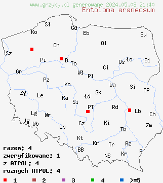 znaleziska Entoloma araneosum (dzwonkówka srebrzystowłóknista) na terenie Polski