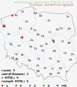 znaleziska Pluteus aurantiorugosus (drobnołuszczak pomarańczowoczerwony) na terenie Polski