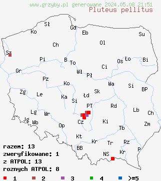 znaleziska Pluteus pellitus (drobnołuszczak białokremowy) na terenie Polski