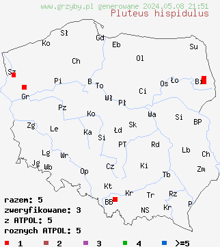 znaleziska Pluteus hispidulus (drobnołuszczak kosmaty) na terenie Polski
