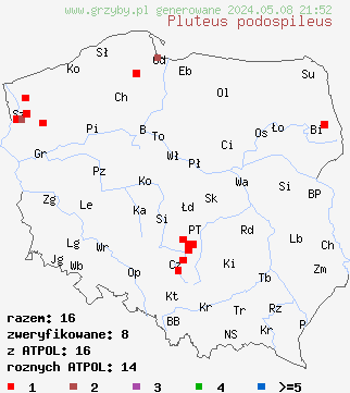 znaleziska Pluteus podospileus (drobnołuszczak fioletowoczarniawy) na terenie Polski