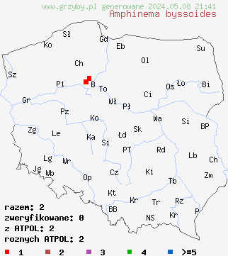 znaleziska Amphinema byssoides (strzępkobłonka włóknista) na terenie Polski