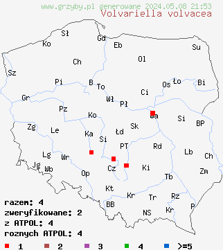 znaleziska Volvariella volvacea (pochwiak wielkopochwowy) na terenie Polski