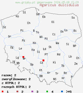 znaleziska Agaricus dulcidulus (pieczarka migdałowa) na terenie Polski