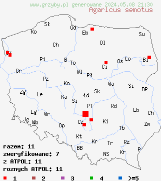 znaleziska Agaricus semotus (pieczarka winnoczerwona) na terenie Polski