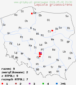 znaleziska Lepiota griseovirens (czubajeczka szarozielonawa) na terenie Polski