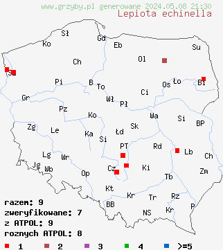 znaleziska Lepiota echinella (czubajeczka szczecinistołuskowata) na terenie Polski
