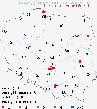 znaleziska Lepiota oreadiformis (czubajeczka łysiejąca) na terenie Polski