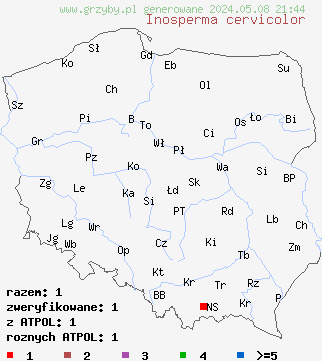 znaleziska Inosperma cervicolor (włókniak płowy) na terenie Polski