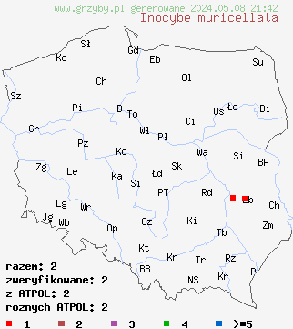 znaleziska Inocybe muricellata (strzępiak chropowaty) na terenie Polski
