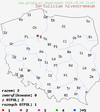 znaleziska Sertulicium niveocremeum (wielozarodnikowiec białokremowy) na terenie Polski