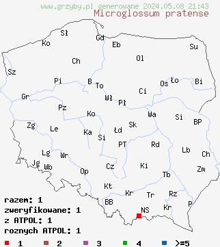 znaleziska Microglossum pratense (małozorek łąkowy) na terenie Polski