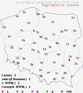 znaleziska Hygrophorus cossus (wodnicha wonna) na terenie Polski