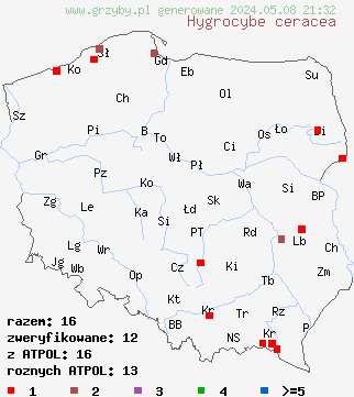 znaleziska Hygrocybe ceracea (wilgotnica woskowa) na terenie Polski