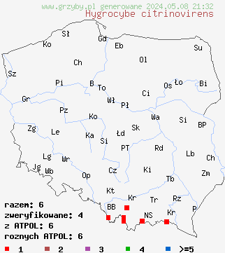 znaleziska Hygrocybe citrinovirens (wilgotnica cytrynowozielonawa) na terenie Polski