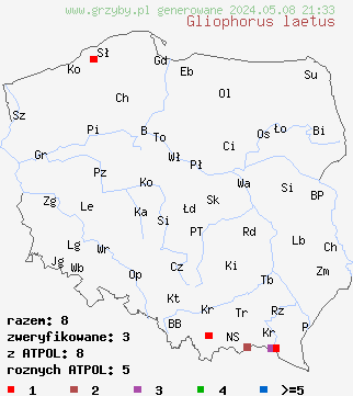 znaleziska Gliophorus laetus (wilgotniczka jasna) na terenie Polski