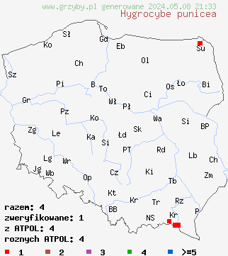 znaleziska Hygrocybe punicea (wilgotnica karminowa) na terenie Polski
