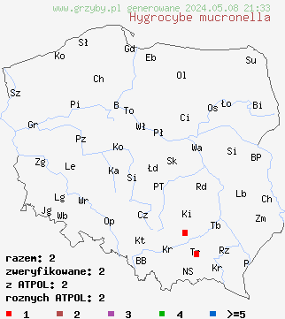 znaleziska Hygrocybe mucronella (wilgotnica szerokoblaszkowa) na terenie Polski