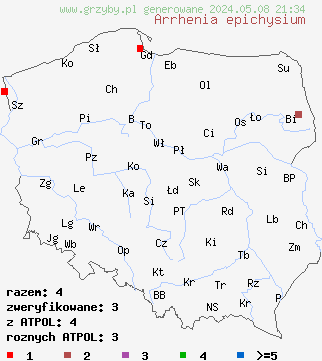 znaleziska Arrhenia epichysium (języczek nadrzewny) na terenie Polski