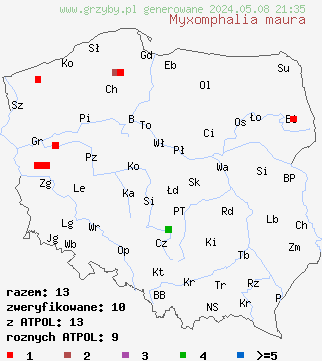 znaleziska Myxomphalia maura (śluzopępka węglolubna) na terenie Polski