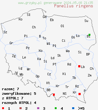 znaleziska Panellus ringens (łycznik zębatobrzegi) na terenie Polski