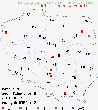 znaleziska Melanoleuca verrucipes (ciemnobiałka brodawkowanotrzonowa) na terenie Polski