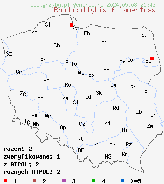 znaleziska Rhodocollybia filamentosa (monetnica sucha) na terenie Polski