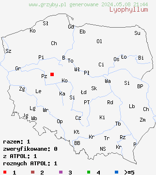 znaleziska Lyophyllum (kępkowiec) na terenie Polski