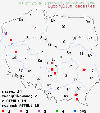 znaleziska Lyophyllum decastes (kępkowiec jasnobrązowy) na terenie Polski