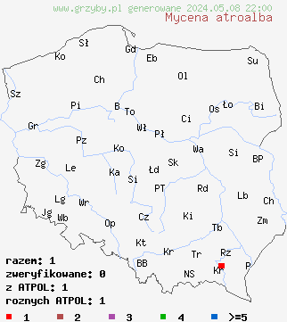 znaleziska Mycena atroalba (grzybówka oszroniona) na terenie Polski