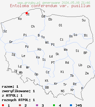 znaleziska Entoloma conferendum var. pusillum na terenie Polski