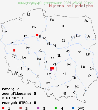 znaleziska Mycena polyadelpha (grzybówka dębowa) na terenie Polski