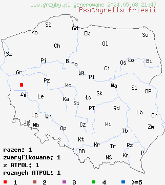 znaleziska Psathyrella friesii na terenie Polski