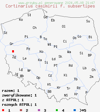 znaleziska Cortinarius casimirii f. subsertipes (zasłonak brązowokakaowy) na terenie Polski